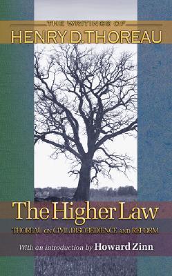 The Higher Law book cover
