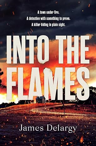Into the Flames book cover