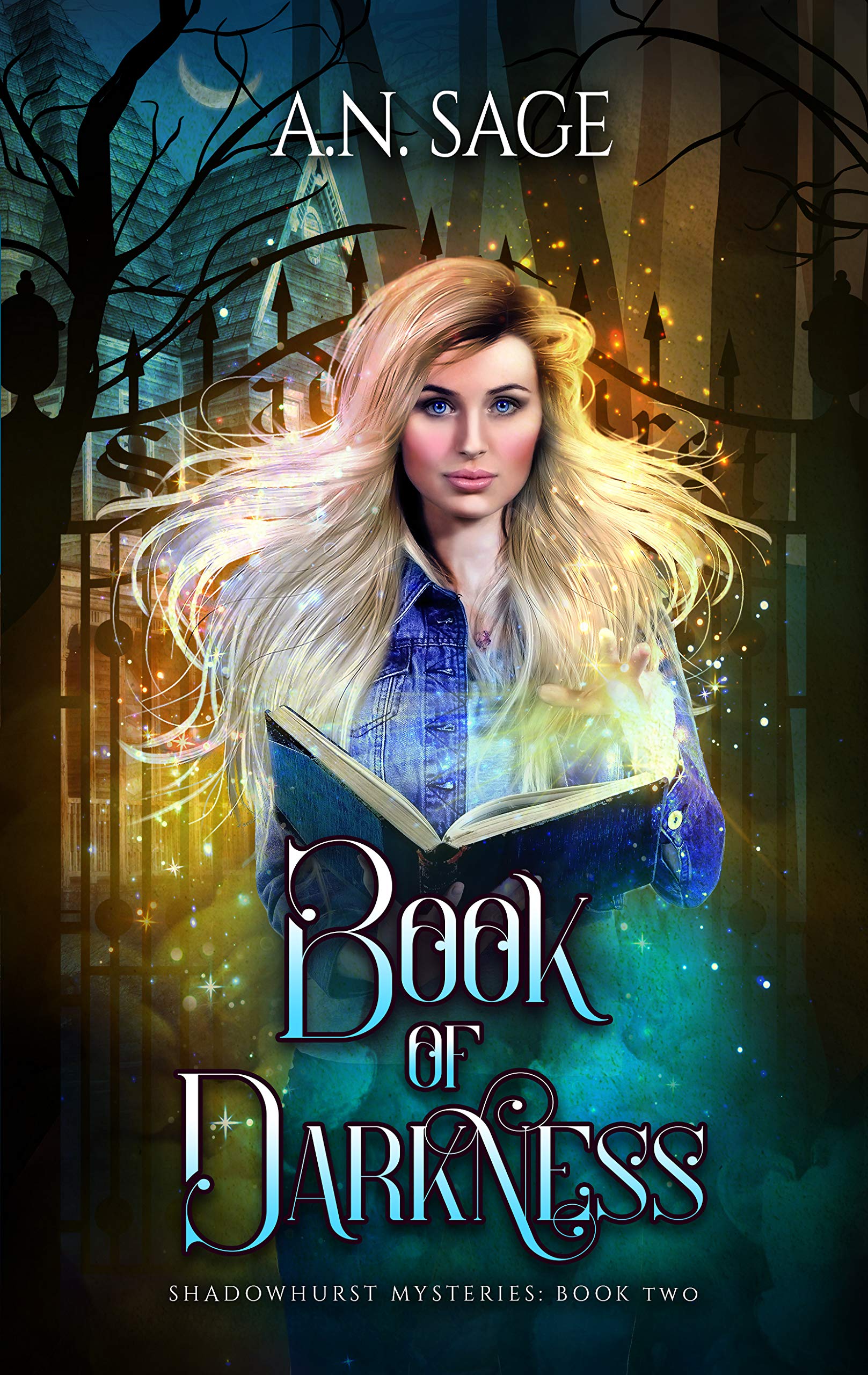 Shadowhurst Mysteries book cover 2