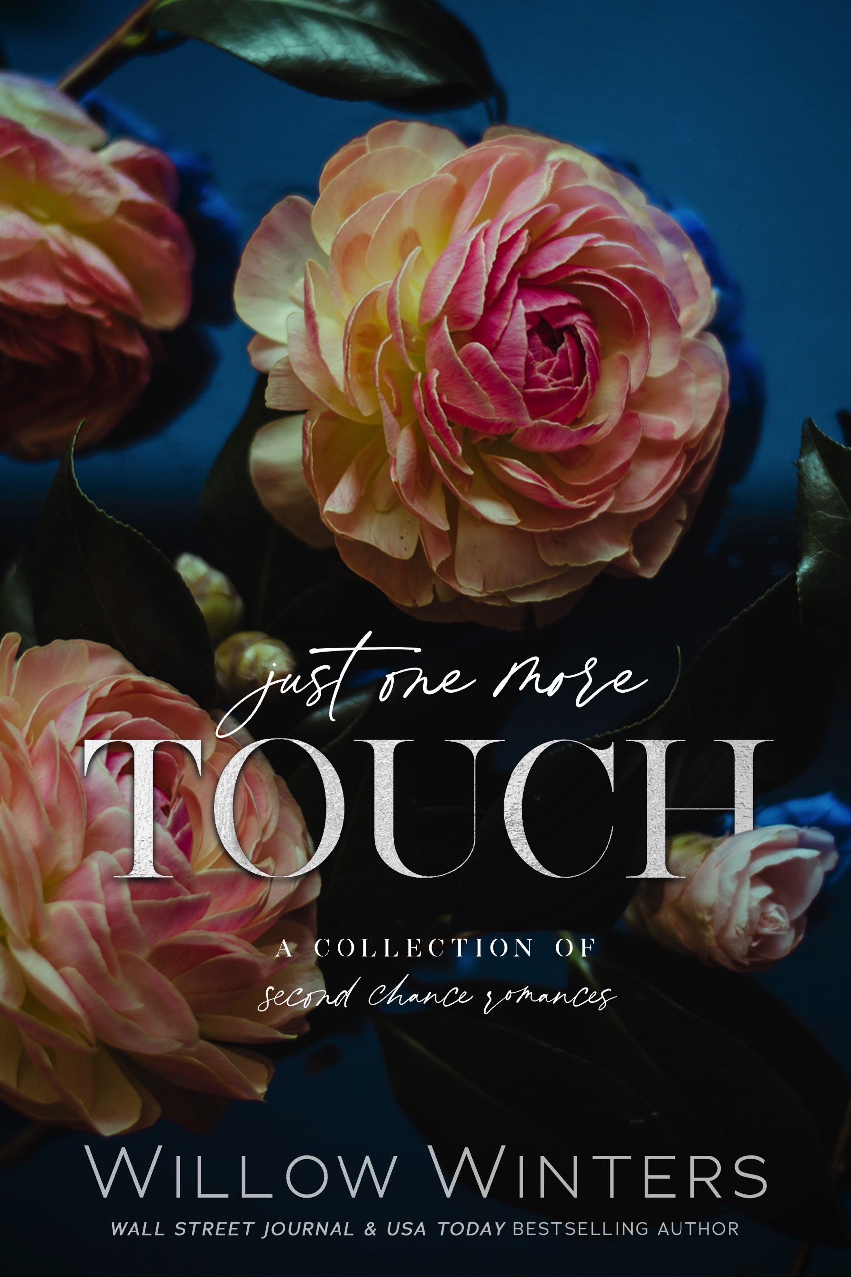 Just One More Touch book cover