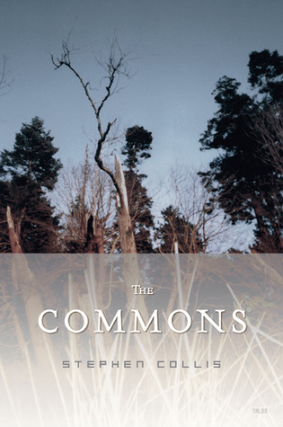 The Commons book cover