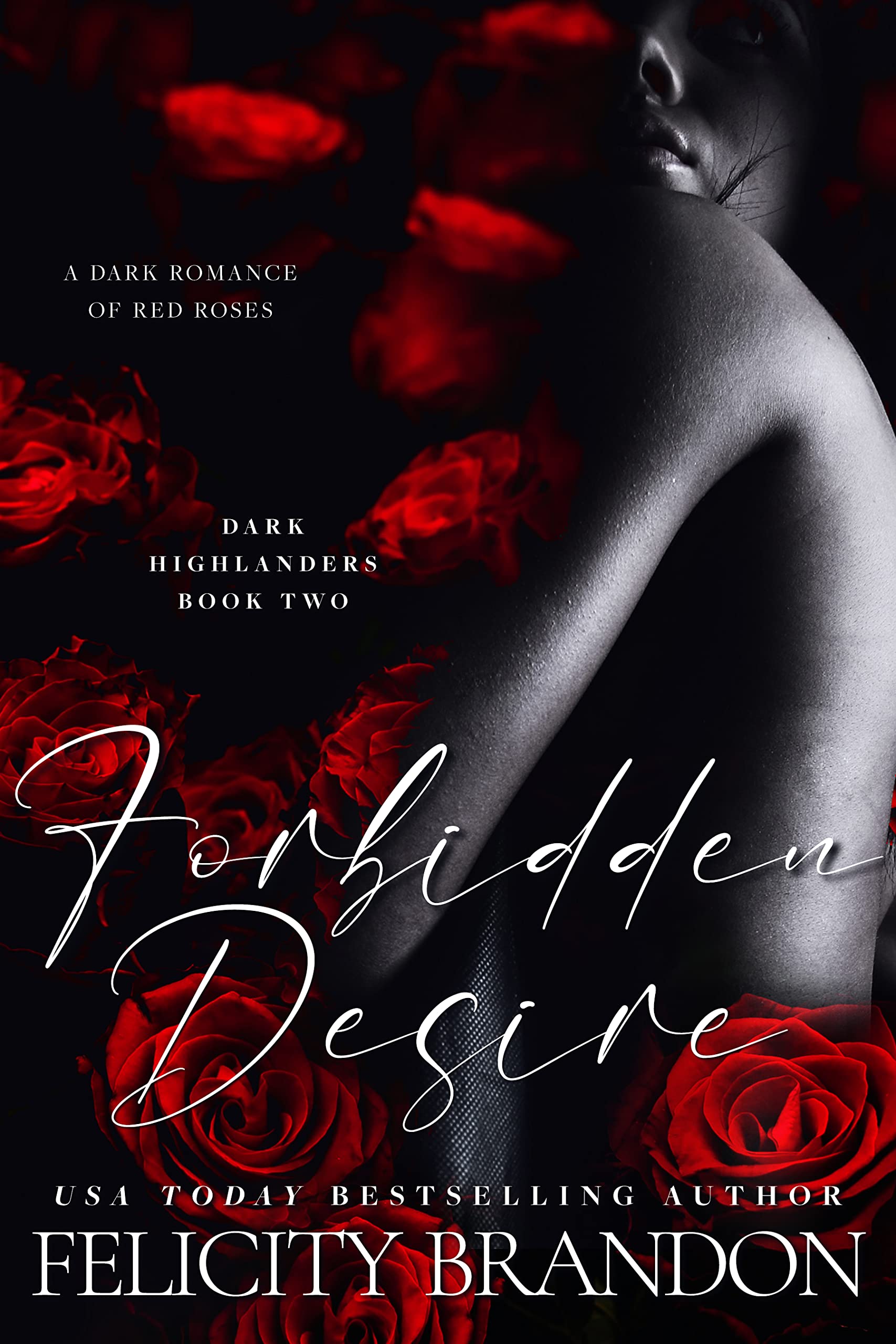 Dark Highlanders book cover 2