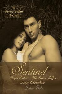 Savoy Valley book cover 2