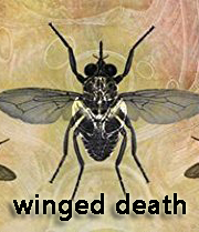 Winged Death book cover