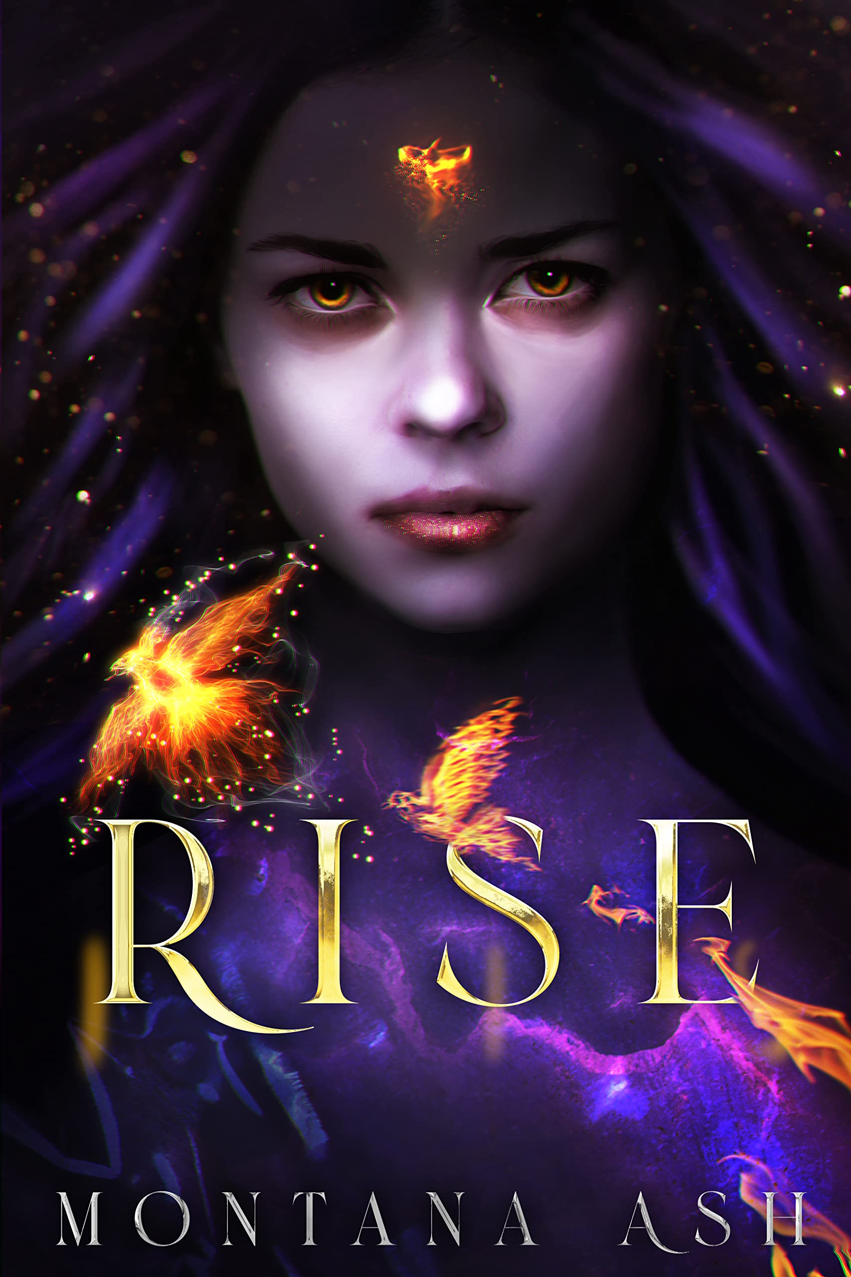 Rise book cover