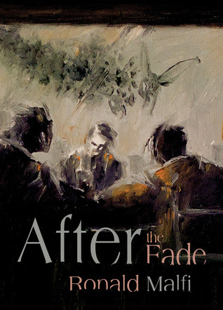 After the Fade book cover