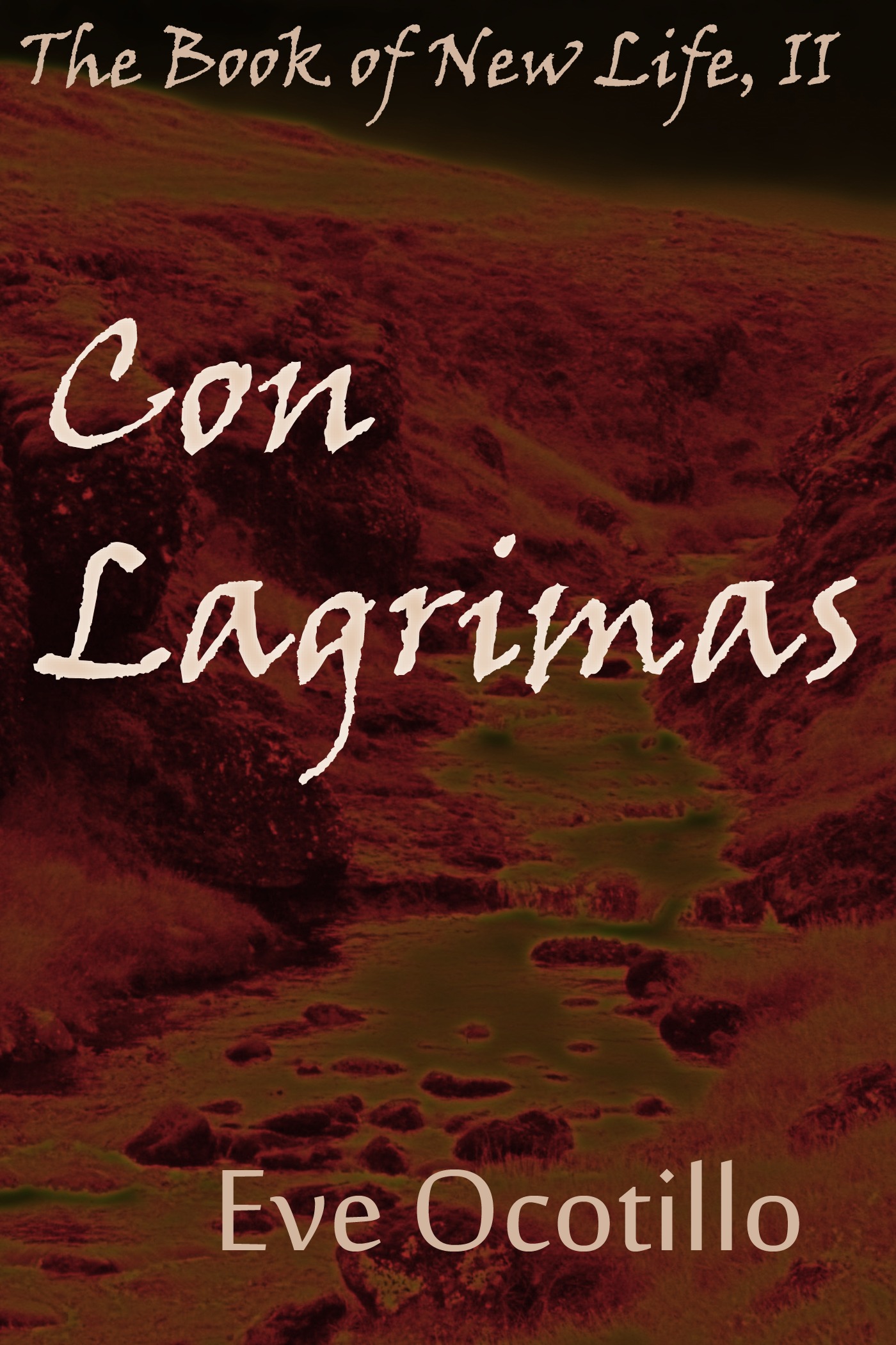 The Book of New Life book cover 2