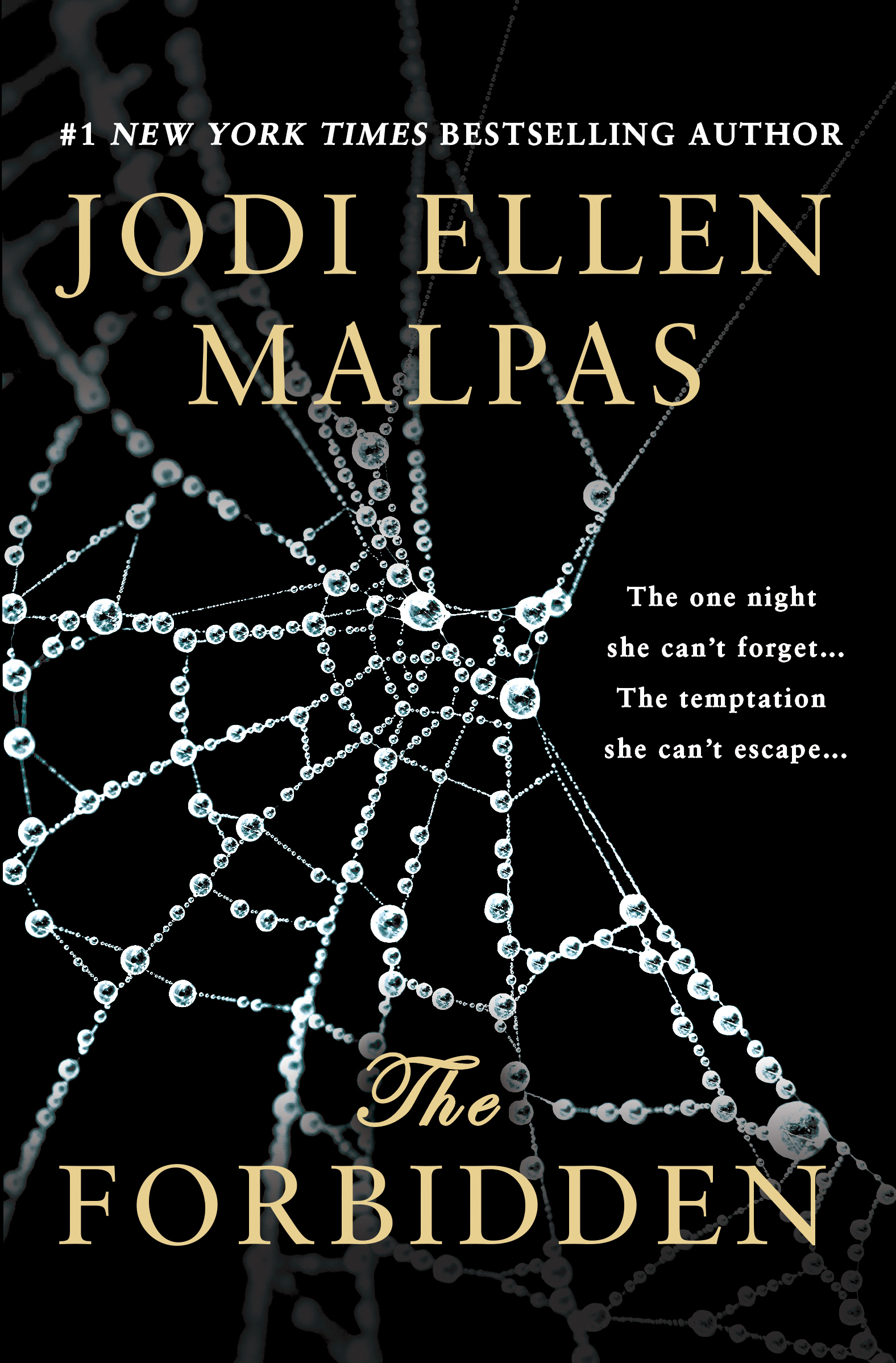 The Forbidden book cover
