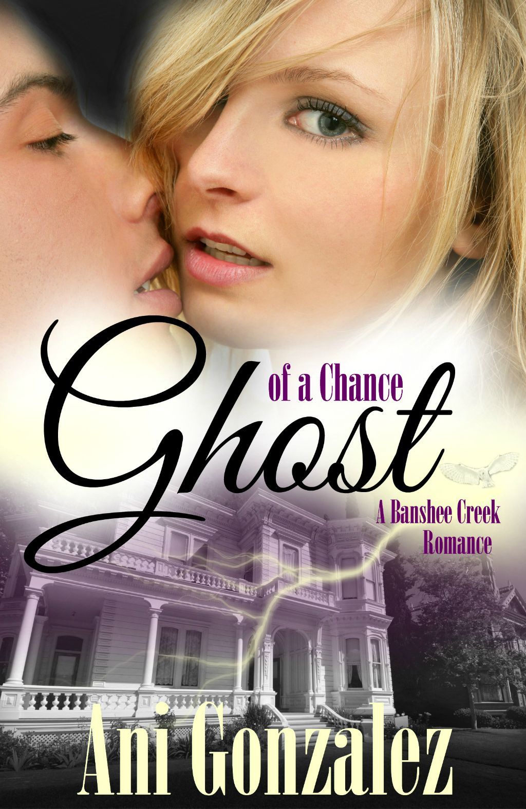 Banshee Creek book cover 2