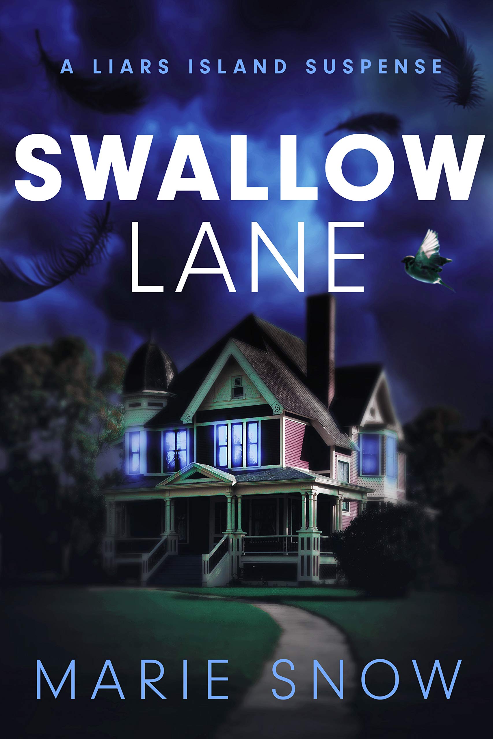 The Swallow book cover 1
