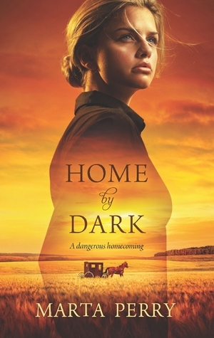 Watcher in the Dark book cover 1