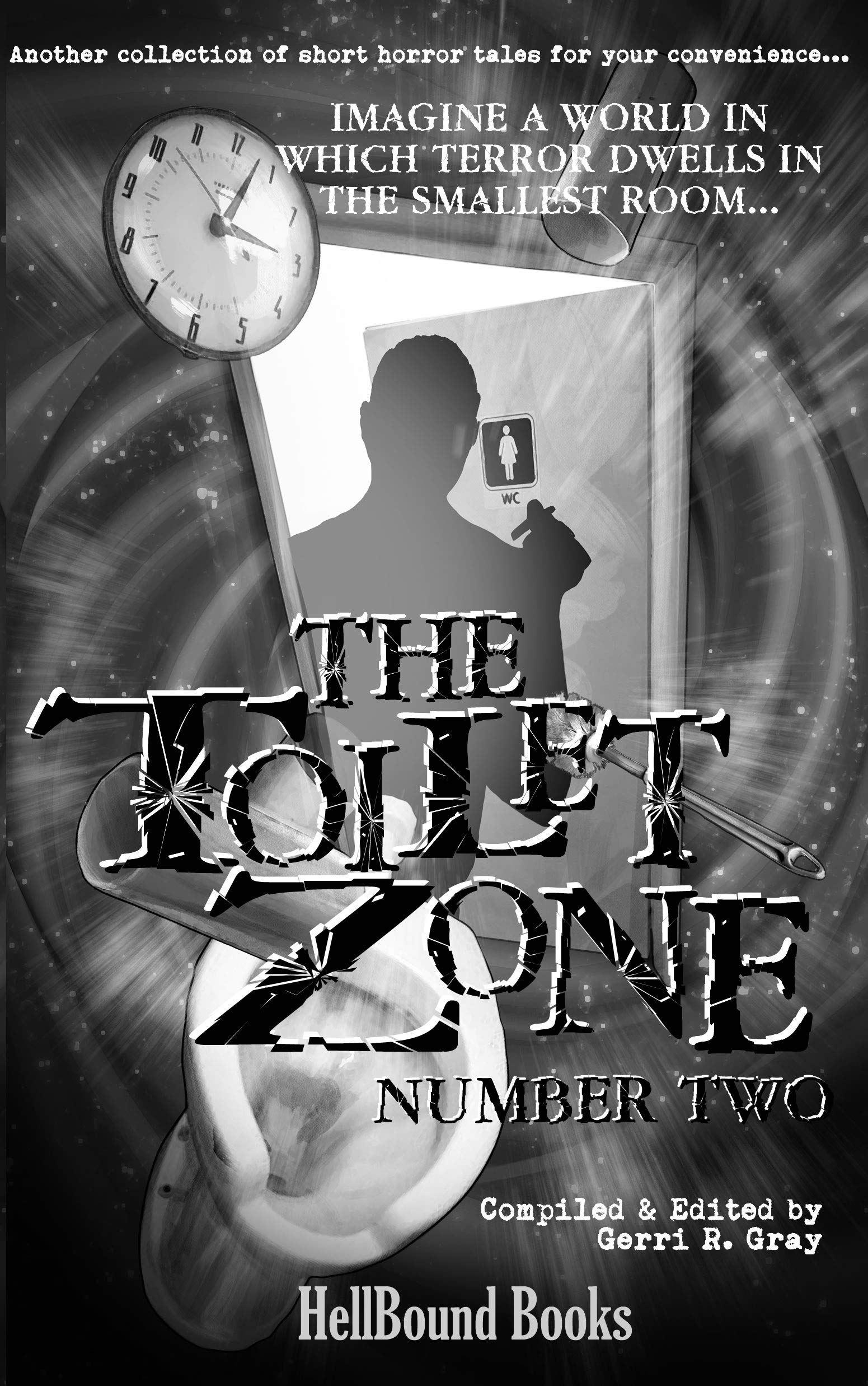 The Toilet Zone book cover