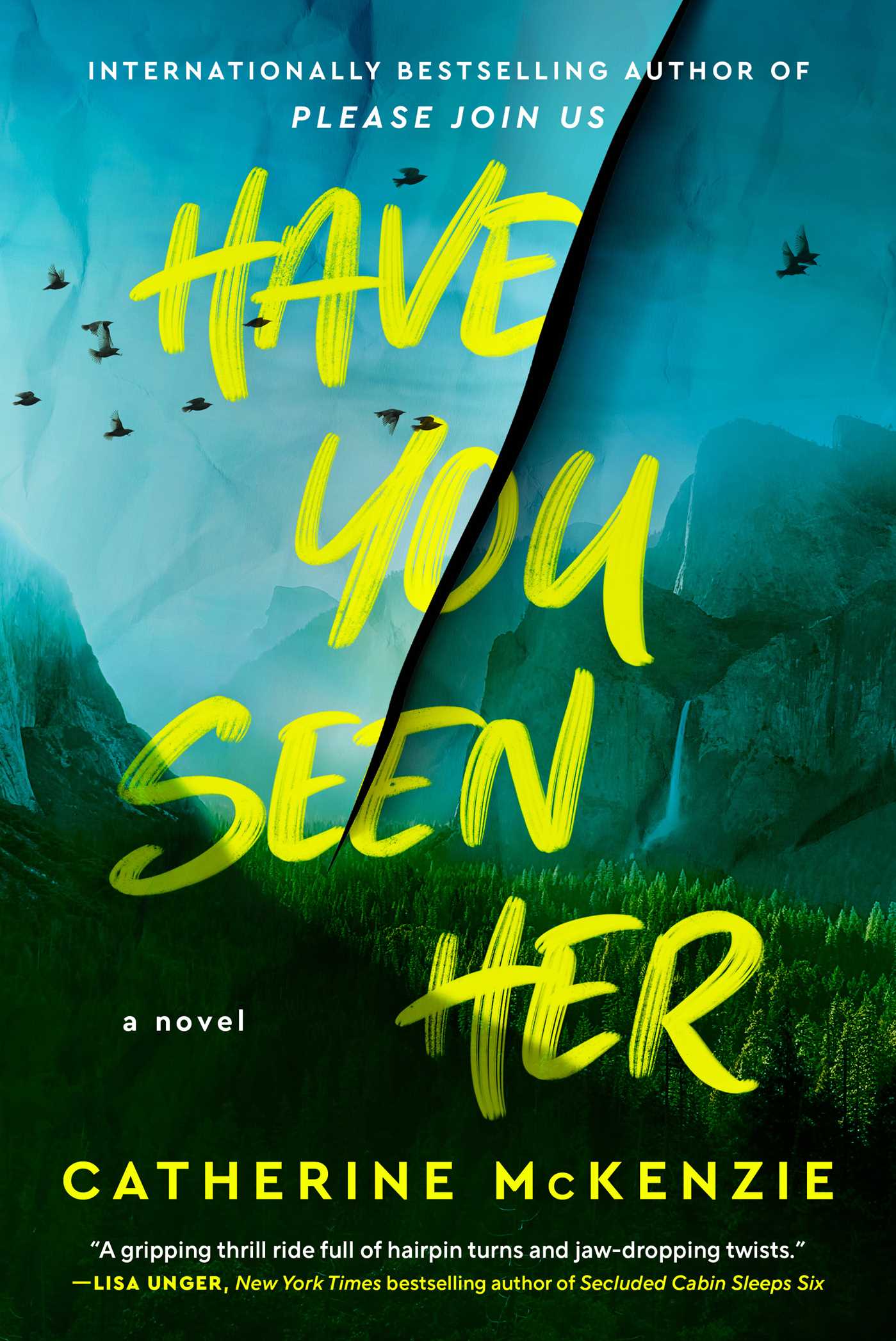Have You Seen Her book cover