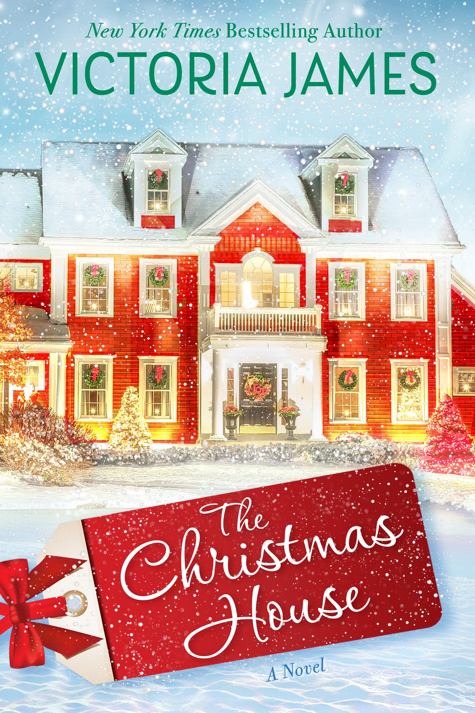 Silver Springs book cover 1