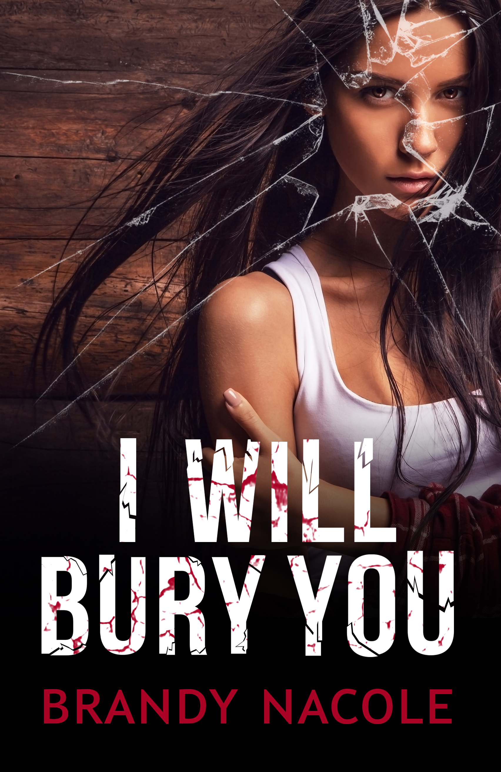 I Will Bury You book cover