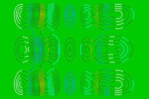 Border Guards book cover