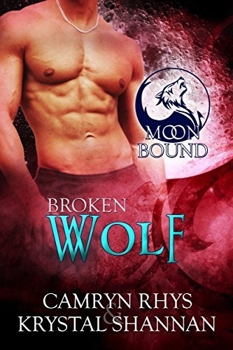 Broken Wolf book cover