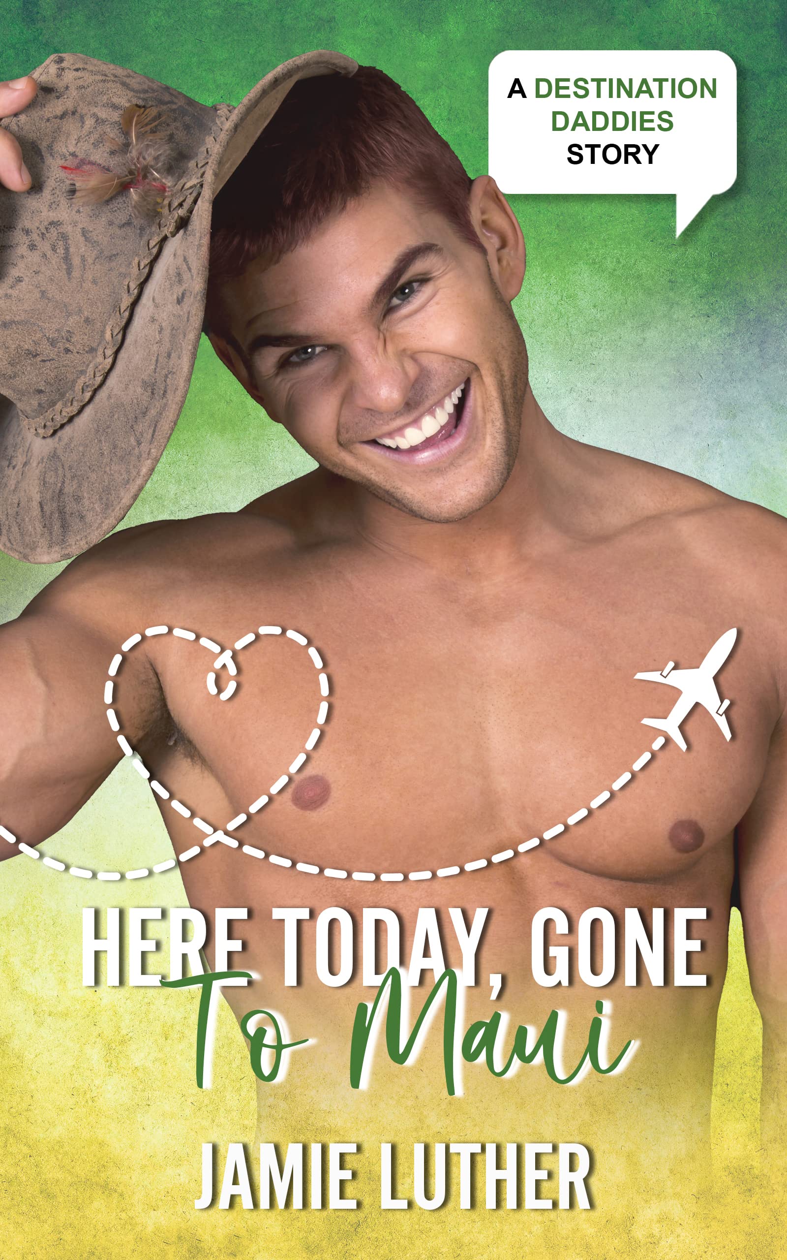 Here Today, Gone to Maui book cover