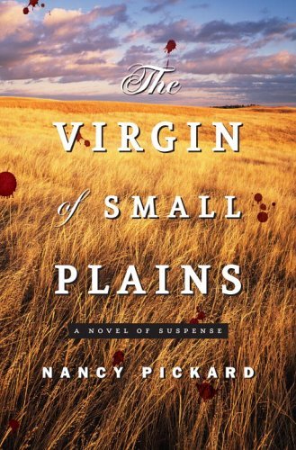The Virgin of Small Plains book cover