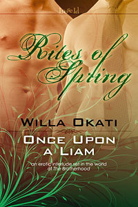 Once Upon a Liam book cover