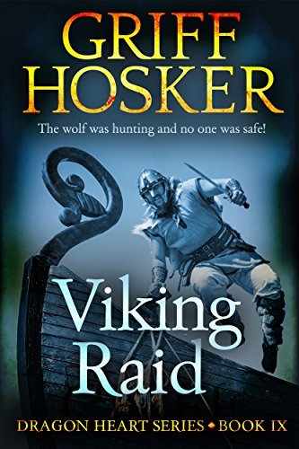 Viking Raid book cover