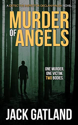 Detective Inspector Declan Walsh book cover 2