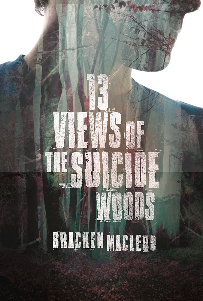 13 Views of the Suicide Woods book cover