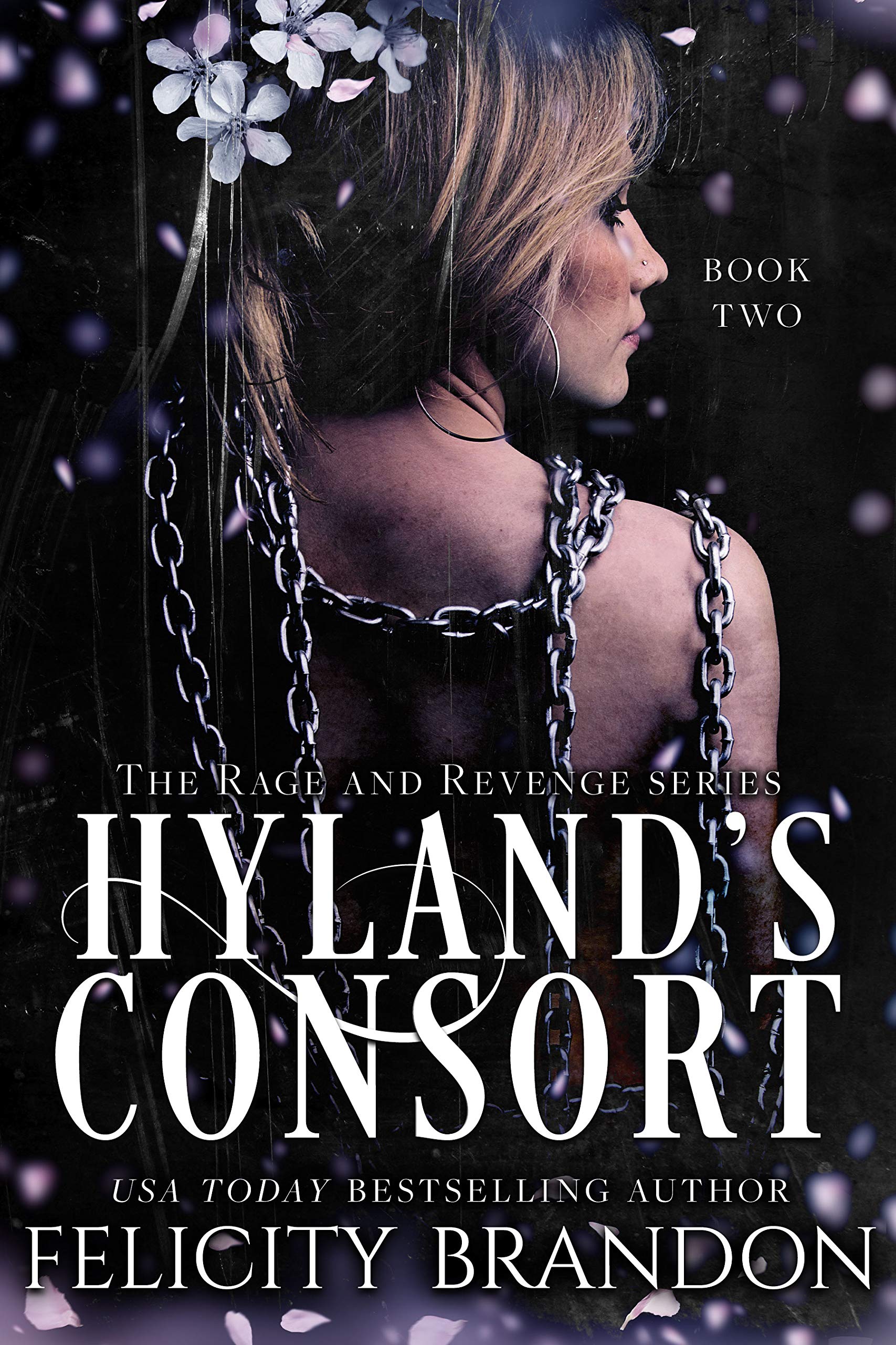 The Rage and Revenge book cover 2