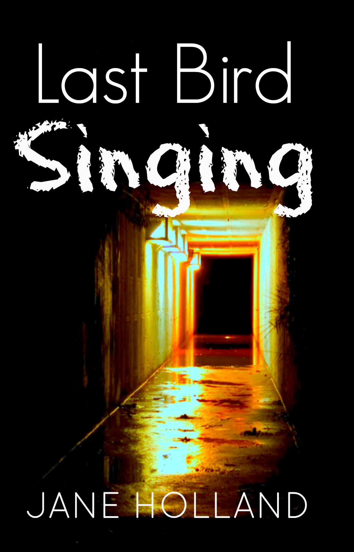 Last Bird Singing book cover
