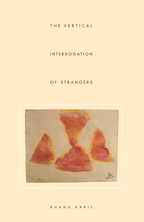 The Vertical Interrogation of Strangers book cover