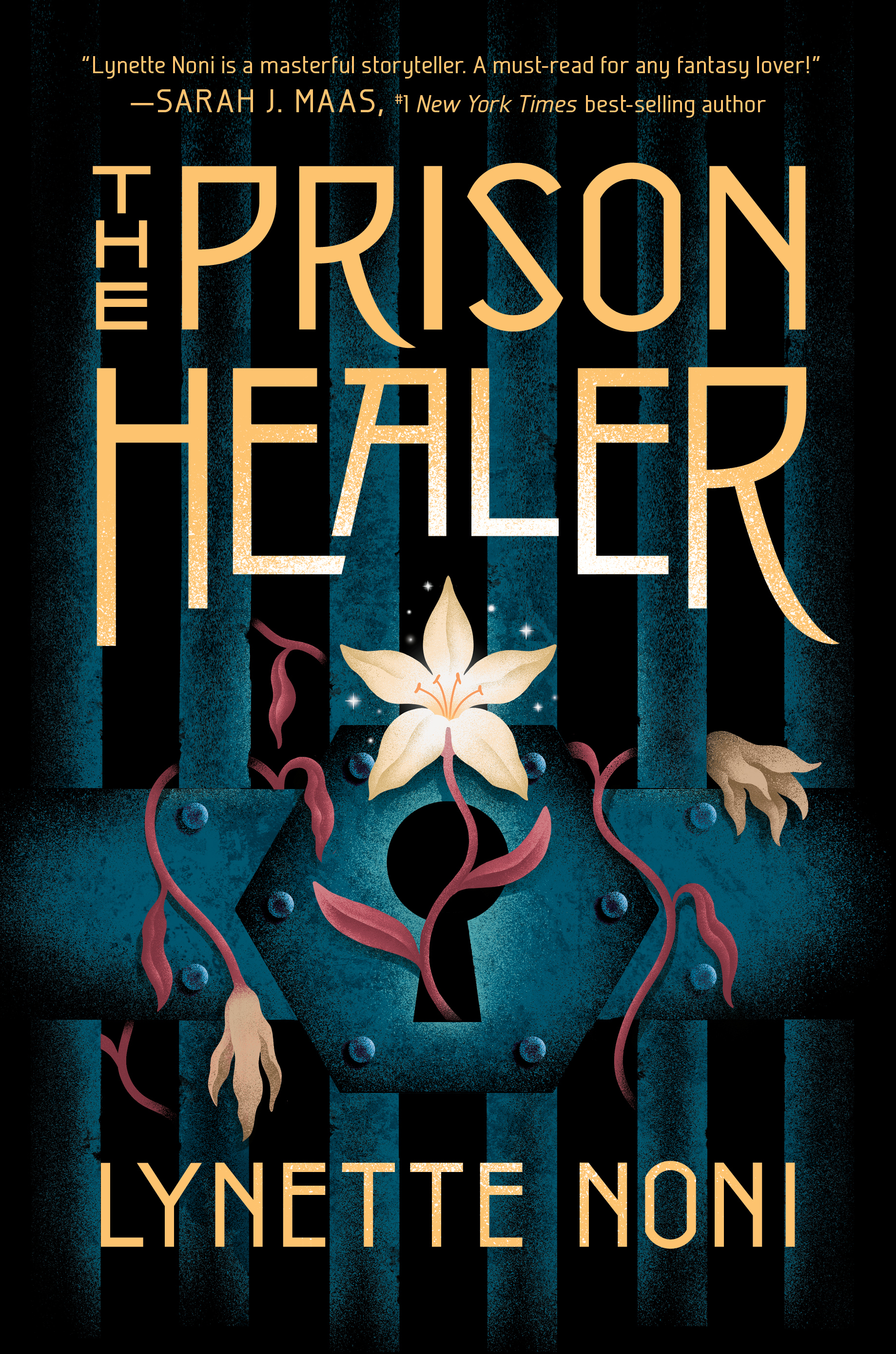The Prison Healer book cover 1