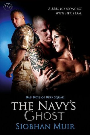 The Navy's Ghost book cover