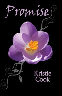 A Demon's Promise book cover