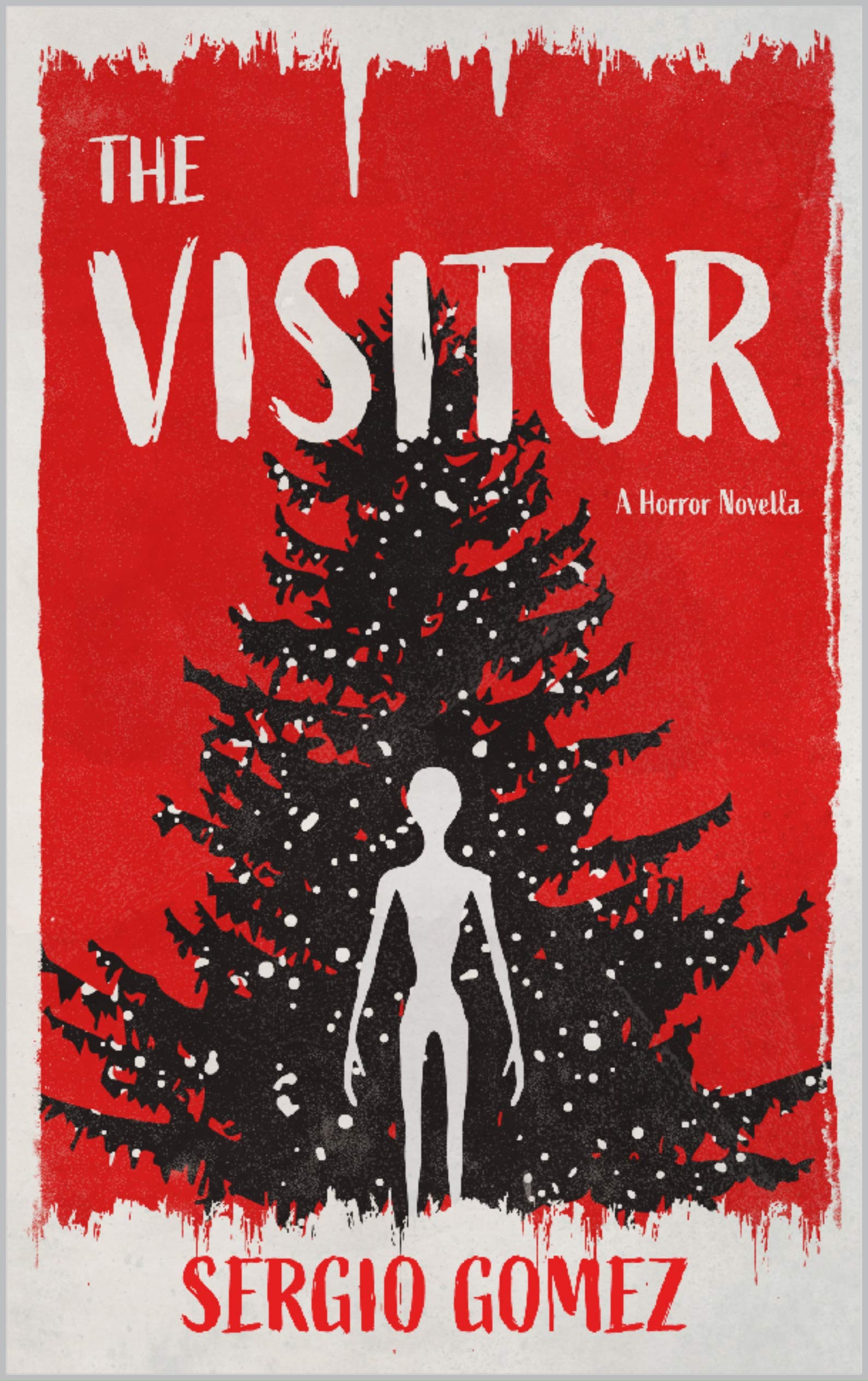 The Visitor book cover