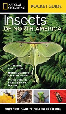 National Geographic Pocket Guide to Insects of North America book cover