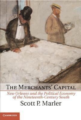 Cambridge Studies on the American South book cover 3