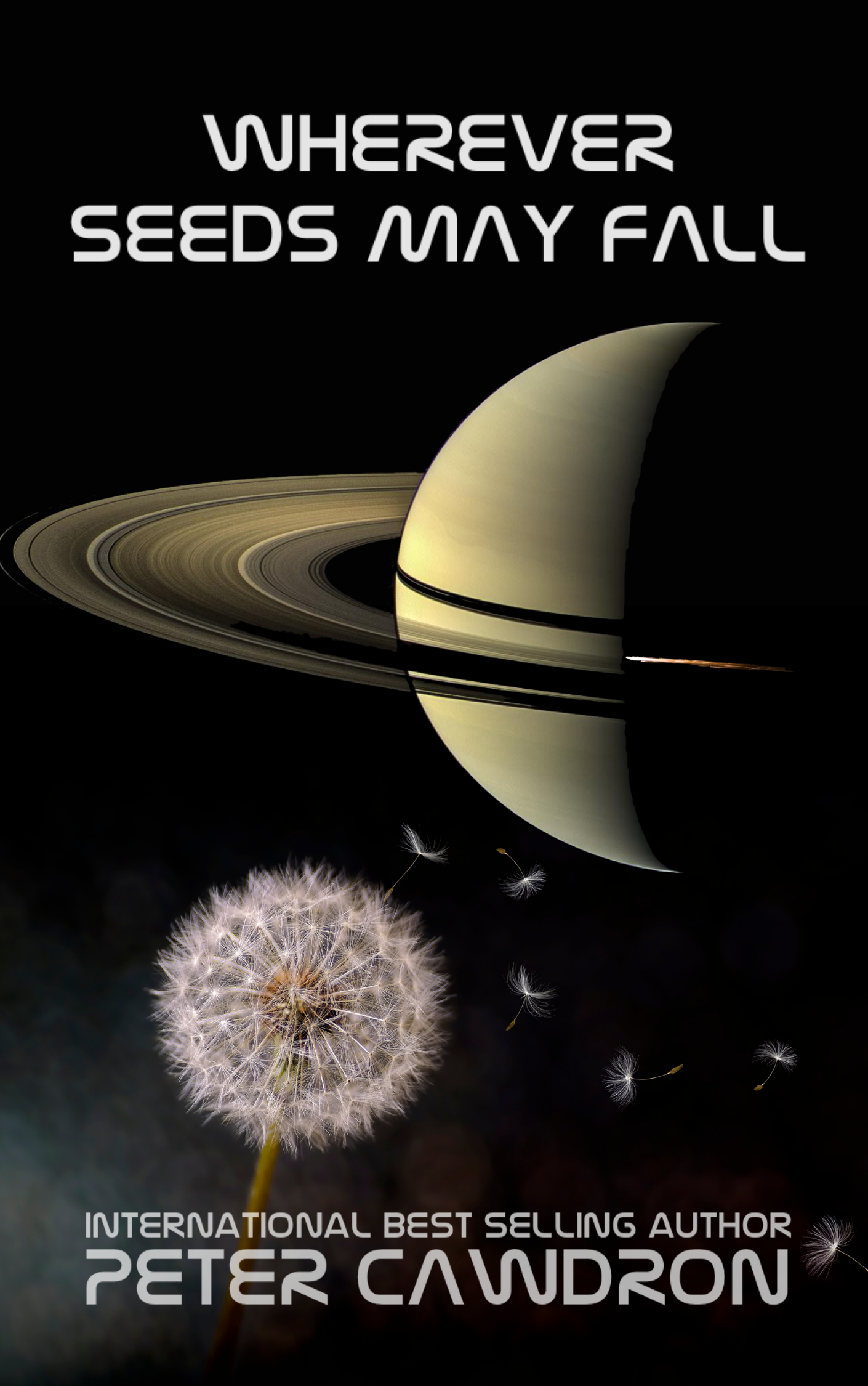 Wherever Seeds May Fall book cover