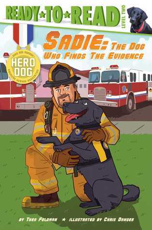 Sadie book cover