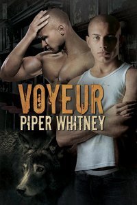 Voyeur book cover