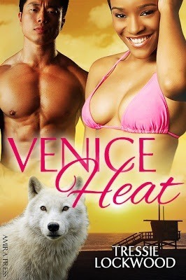 Urban Heat book cover 2