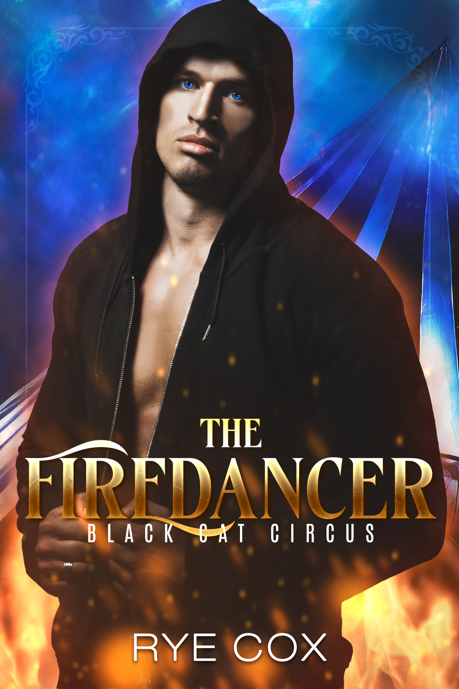 Black Cat Circus book cover 2