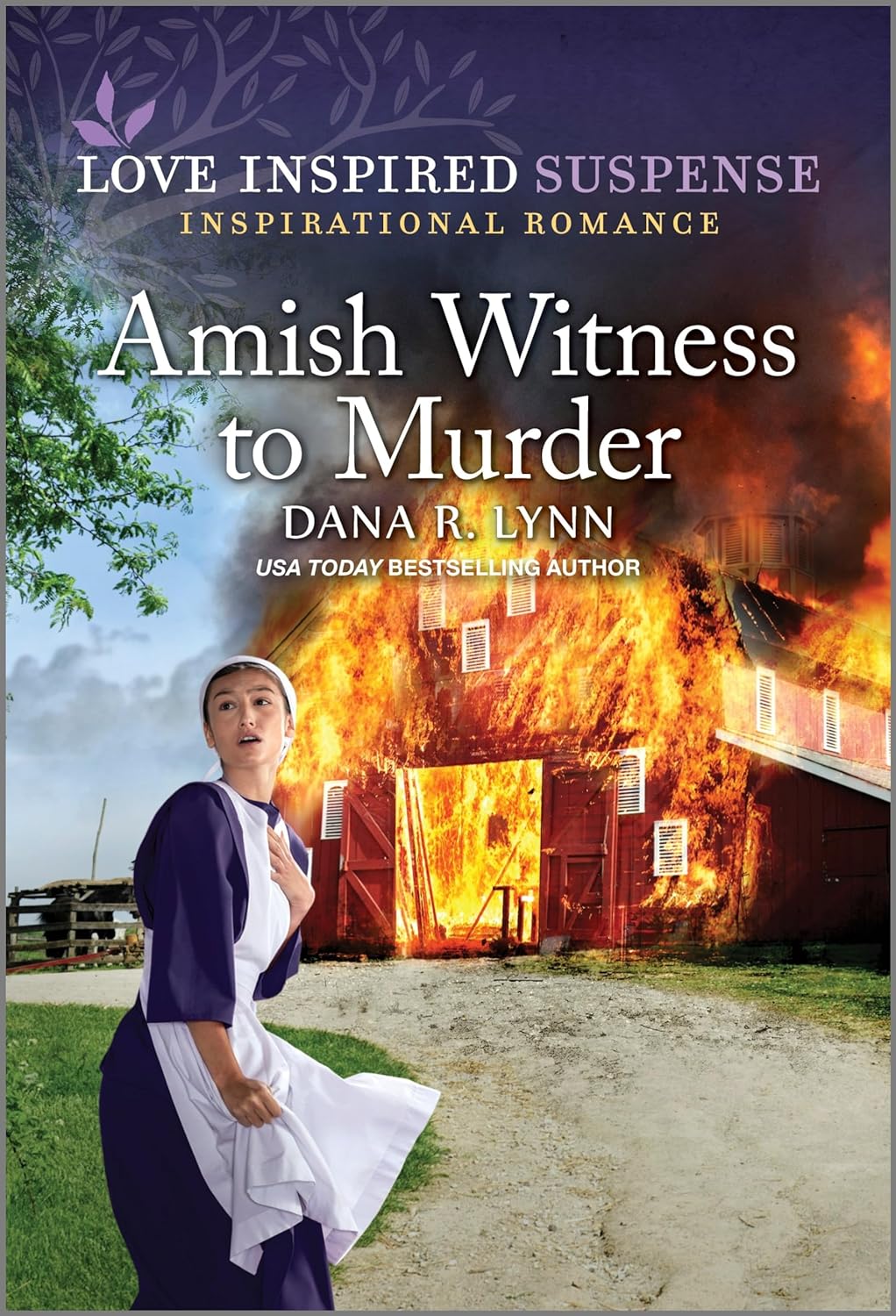 Amish Witness to Murder book cover
