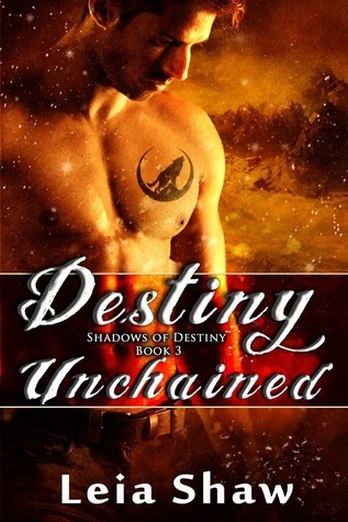 Shadows of Destiny book cover 3