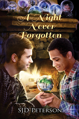 A Night Never Forgotten book cover