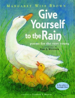 Give Yourself to the Rain book cover