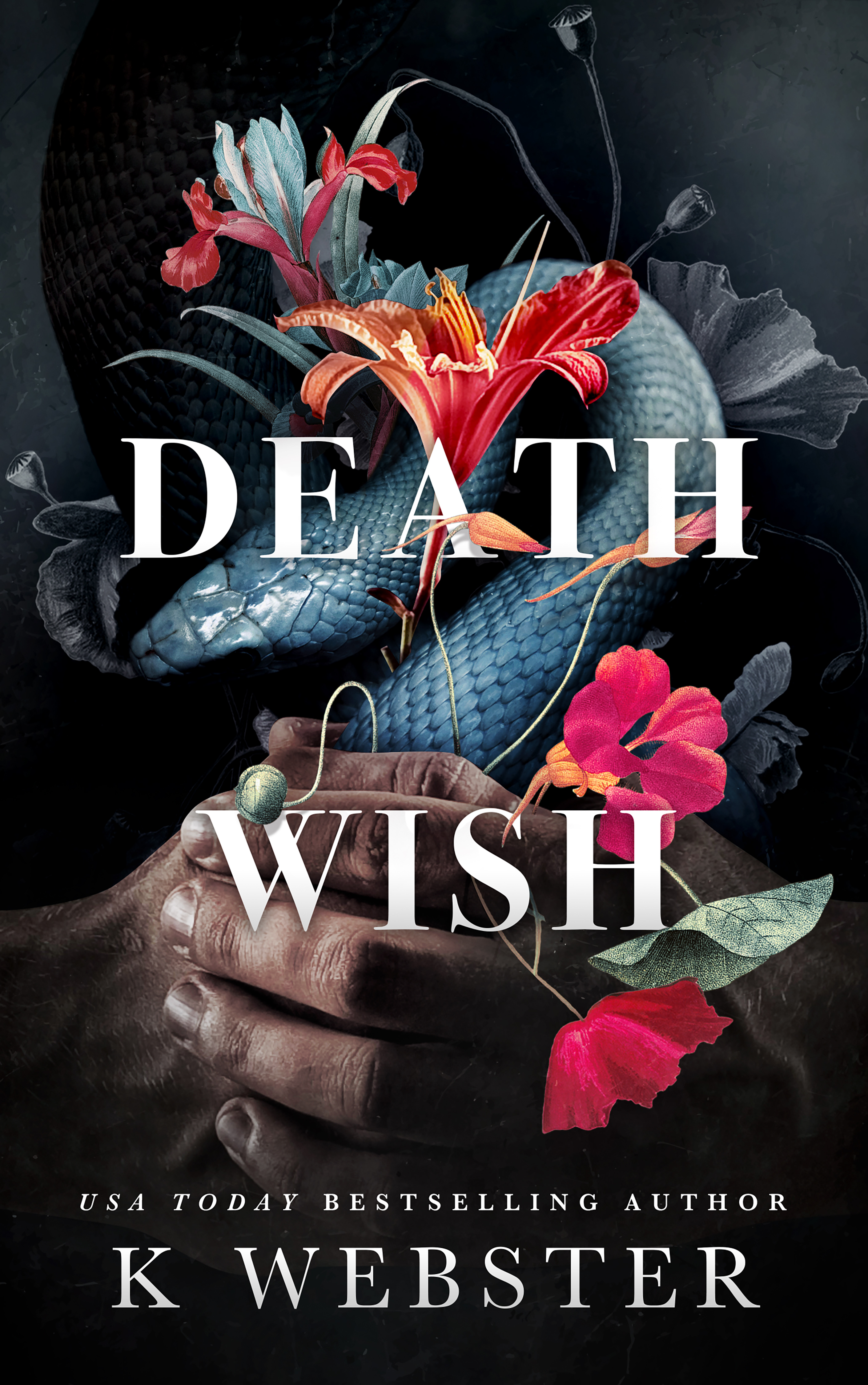 Deception Duet book cover 2