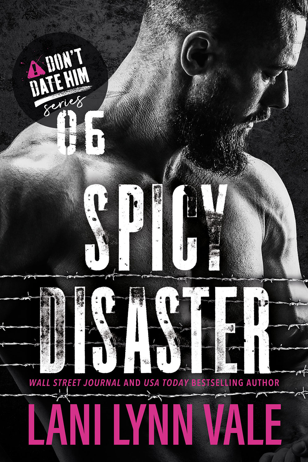 Spicy Disaster book cover
