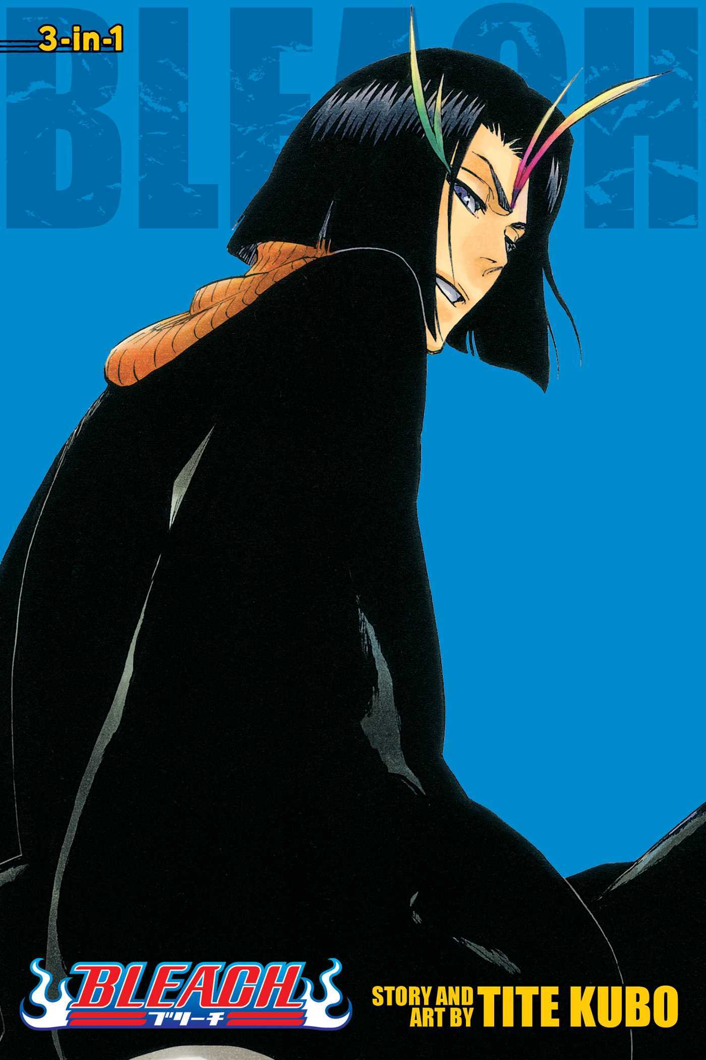 Bleach (3-in-1 Edition), Vol. 13 book cover