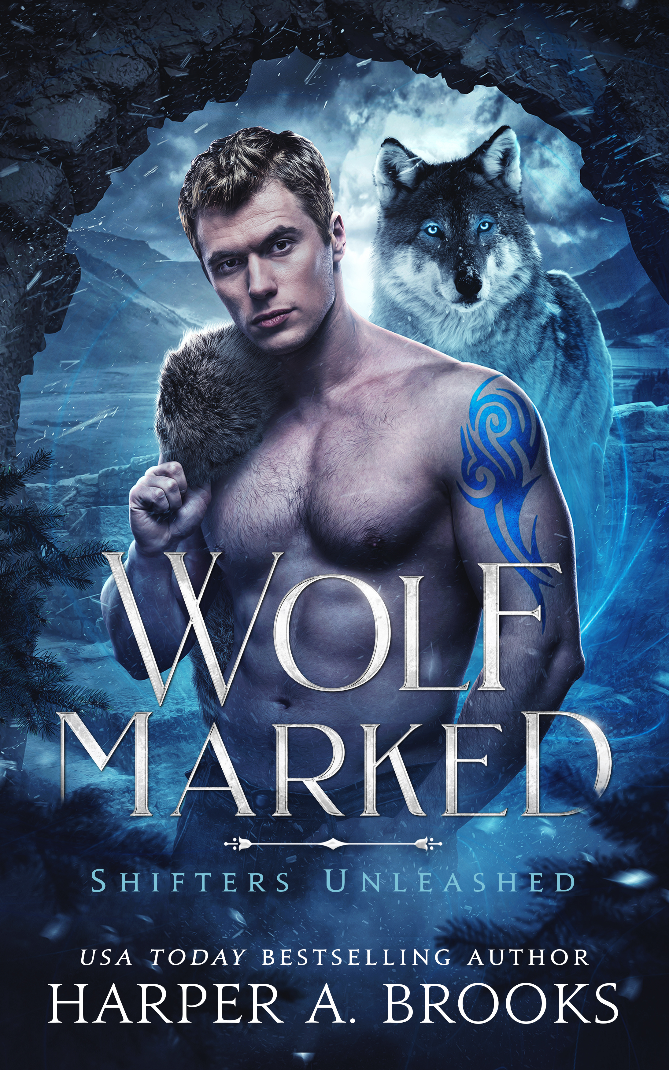 Shifters Unleashed book cover 2