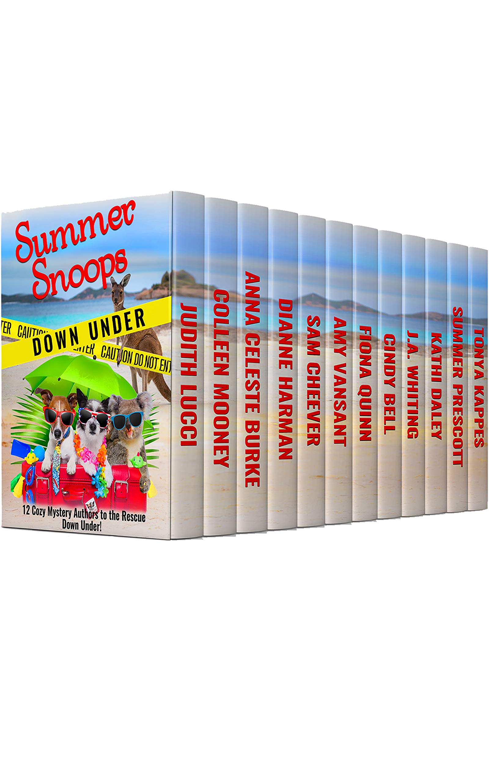 Summer Snoops book cover